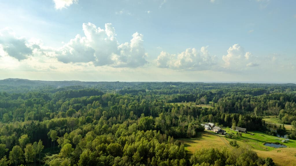 20250906-DJI_0001-HDR