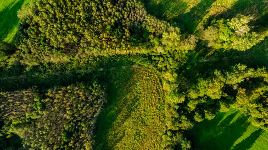 20250906-DJI_0032-HDR