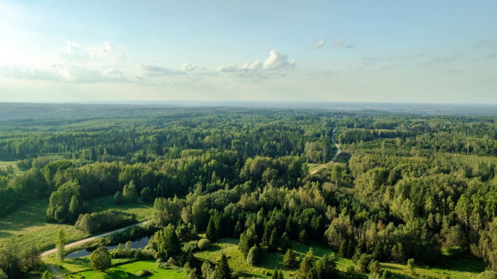 20250906-DJI_0053-HDR