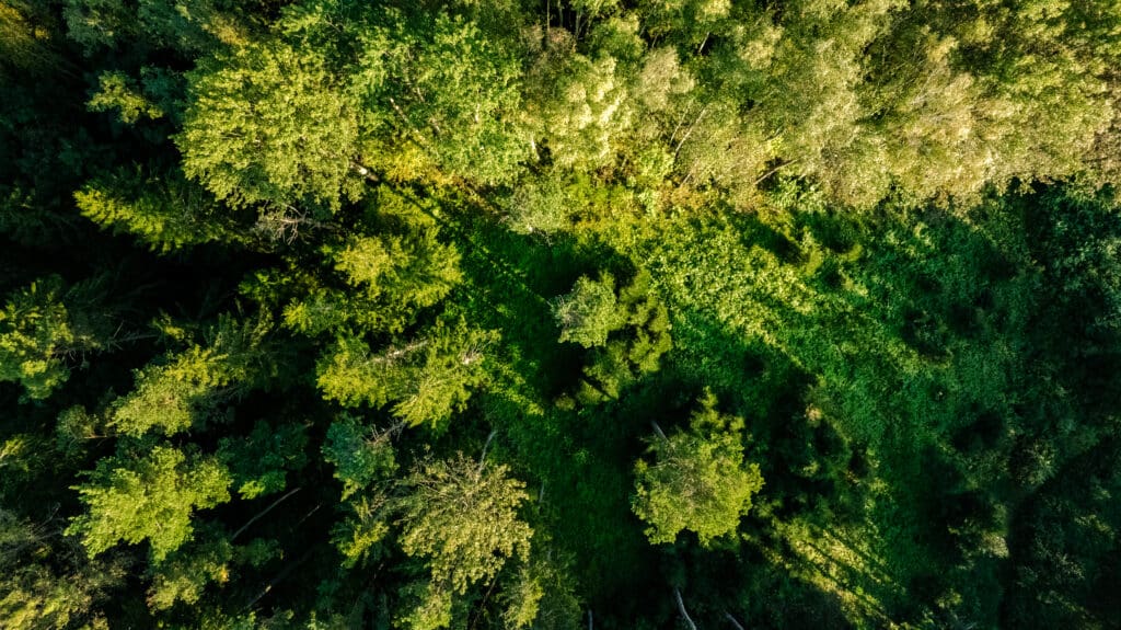 20250906-DJI_0061-HDR