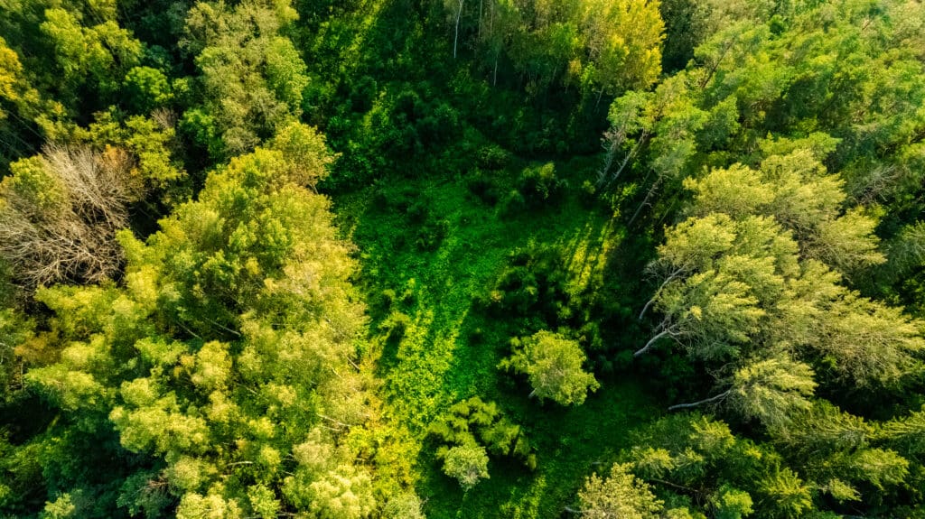 20250906-DJI_0067-HDR