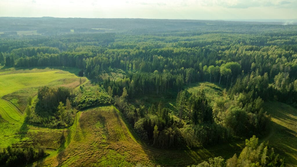 20250906-DJI_0077-HDR