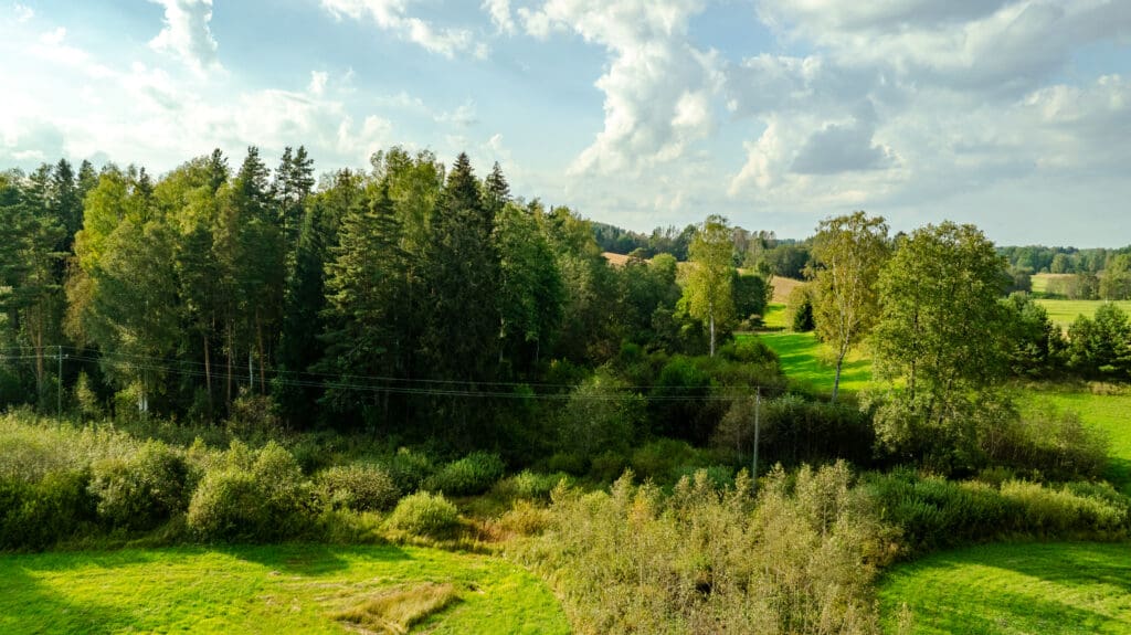 20250906-DJI_0880-HDR