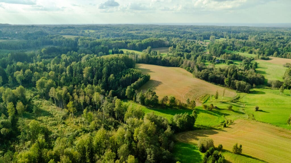 20250906-DJI_0886-HDR