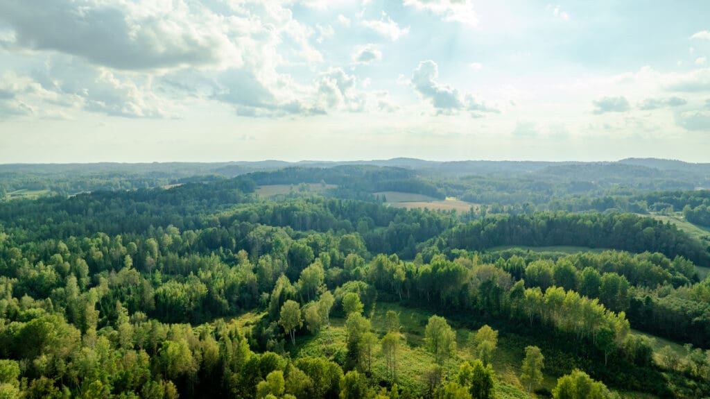 20250906-DJI_0892-HDR