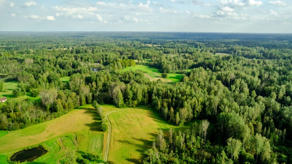 20250906-DJI_0897-HDR