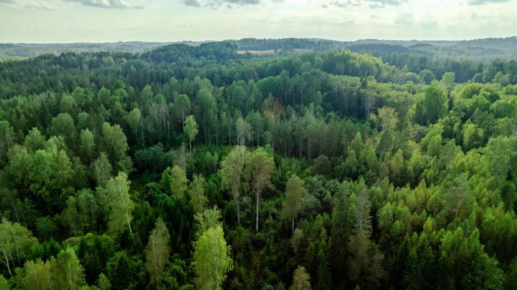 20250906-DJI_0903-HDR