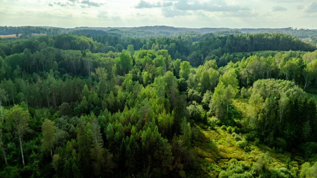 20250906-DJI_0908-HDR