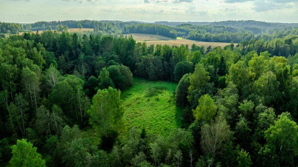 20250906-DJI_0914-HDR