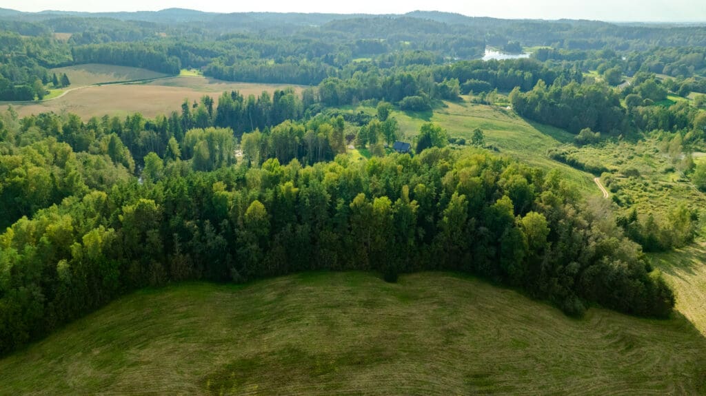 20250906-DJI_0936-HDR