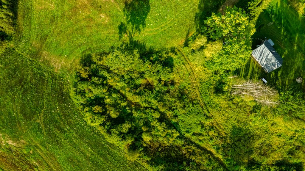 20250906-DJI_0943-HDR