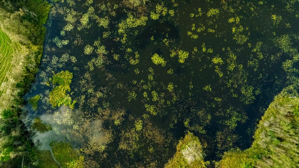 20250906-DJI_0967-HDR