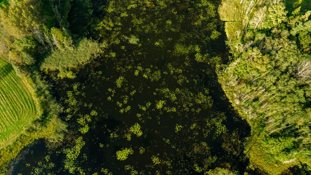 20250906-DJI_0972-HDR