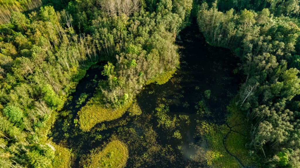 20250906-DJI_0977-HDR