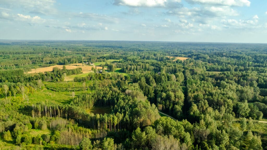 20250906-DJI_0982-HDR