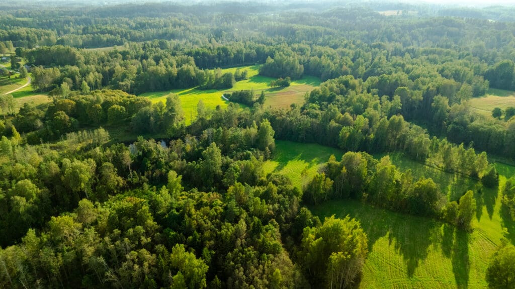 20250906-DJI_0987-HDR