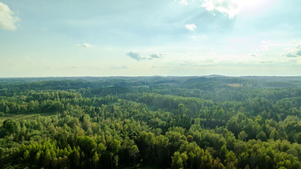 20250906-DJI_0993-HDR