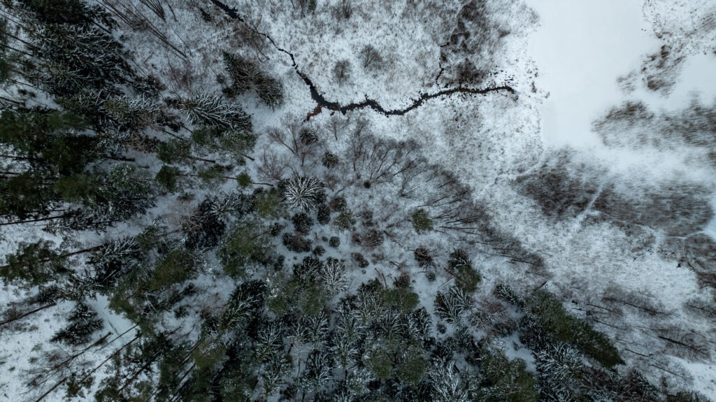 20260105-DJI_0664-HDR