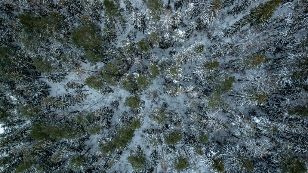 20260105-DJI_0692-HDR