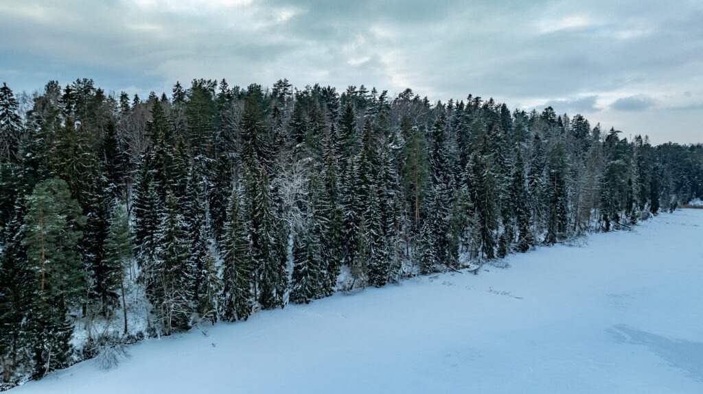 20260105-DJI_0729-HDR