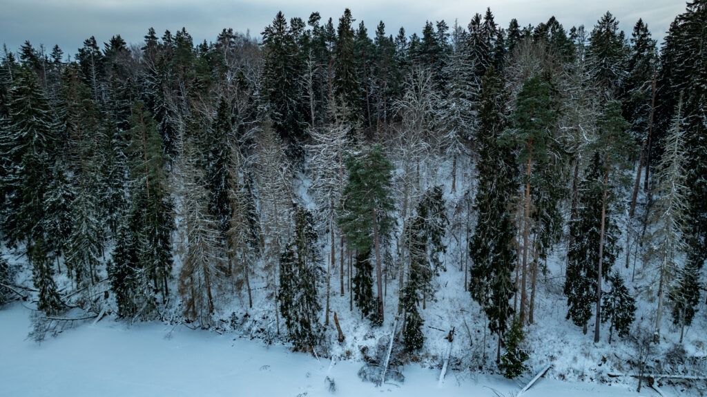 20260105-DJI_0733-HDR