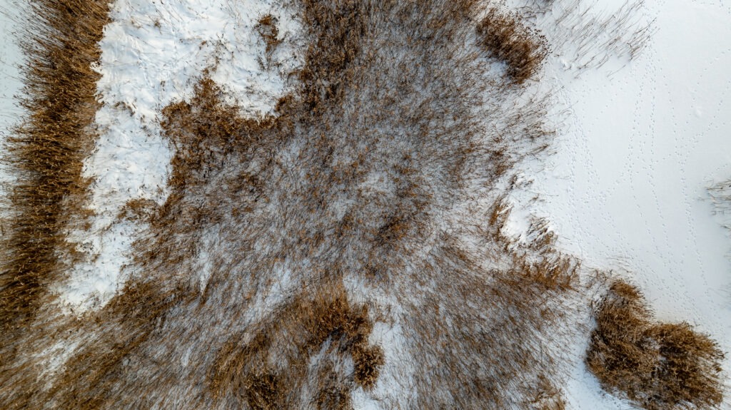 20260105-DJI_0781-HDR