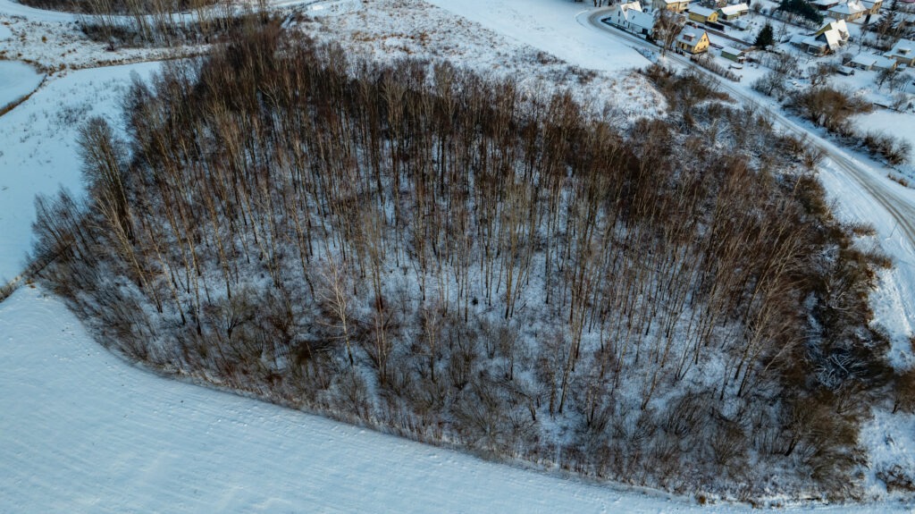 20260105-DJI_0875-HDR