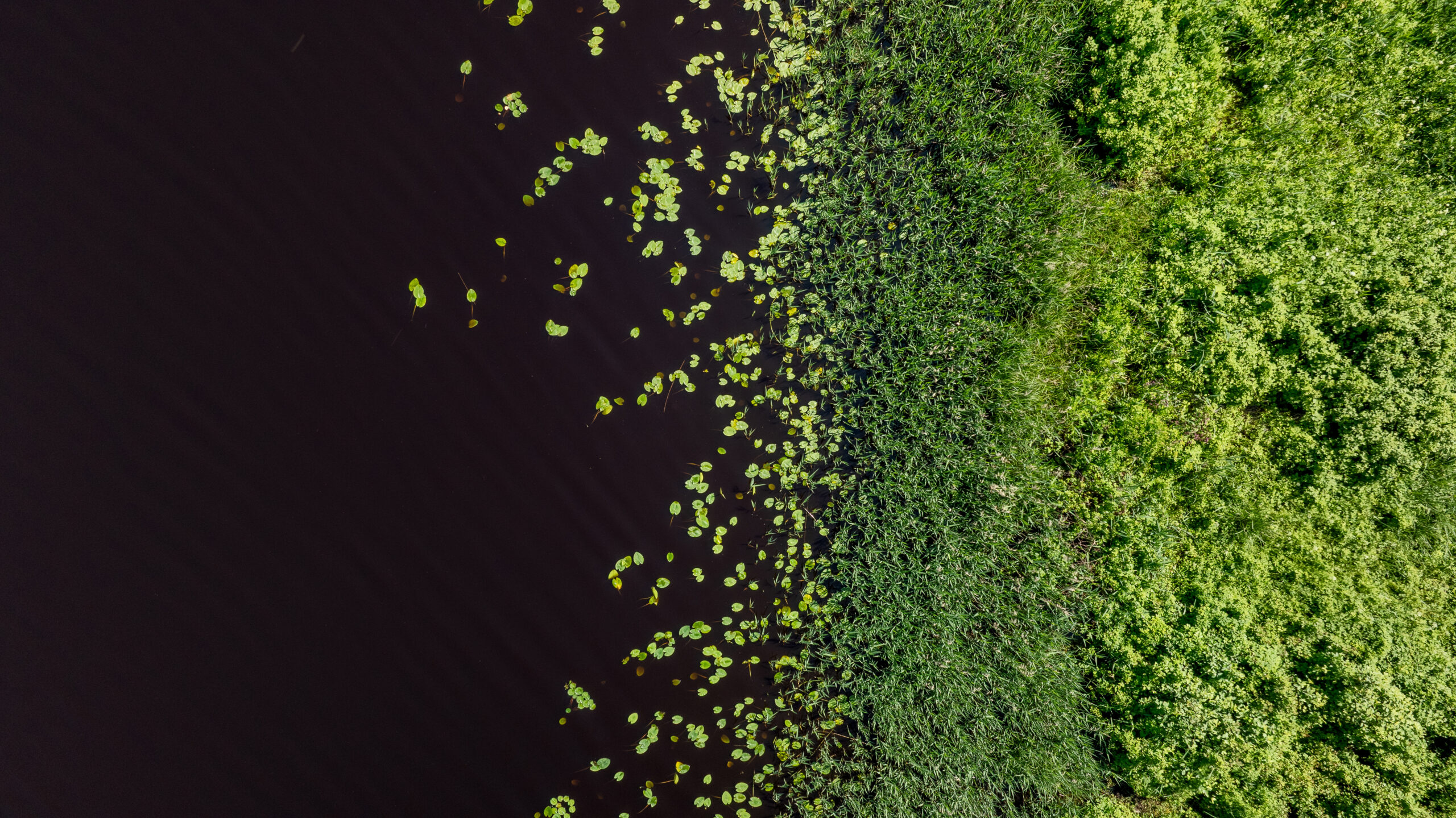 20250615-DJI_0621-HDR_1920