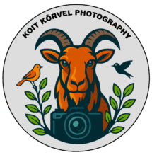 Koit Kõrvel Photography Logo 2025